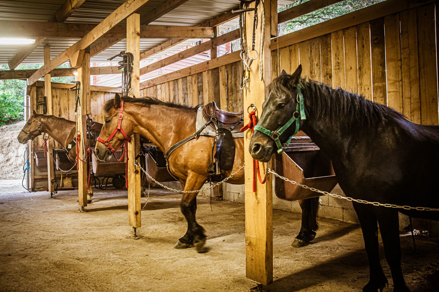 U Santu Pultru, ranch équestre & balades à cheval dans le Sud de la Corse